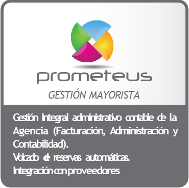 Mayorista